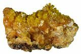Vibrant Pyromorphite Crystal Cluster - Bunker Hill Mine, Idaho #168401-2